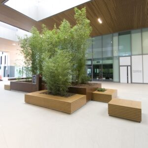 jadiniera plante pentru interior