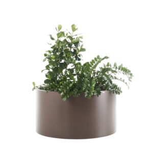 jandiniera model nou