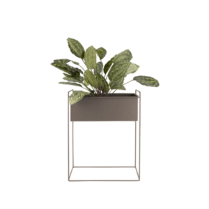 jardiniera plate interior - exterior