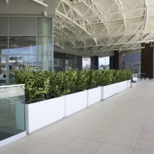 jardiniera stradala moderna