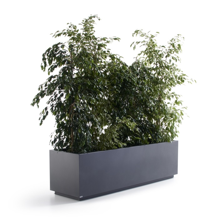Ghiveci ornamental dreptunghiular