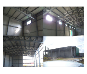 hale-productie-pe-structura-metalica-.png